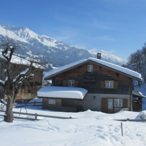 Ferienhaus Cresta mit Bergblick im Winter