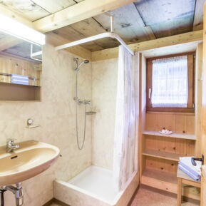 Ferienhaus Cresta: The shower room