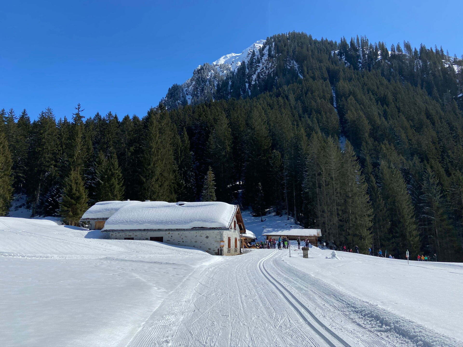 Alp Novai in Klosters